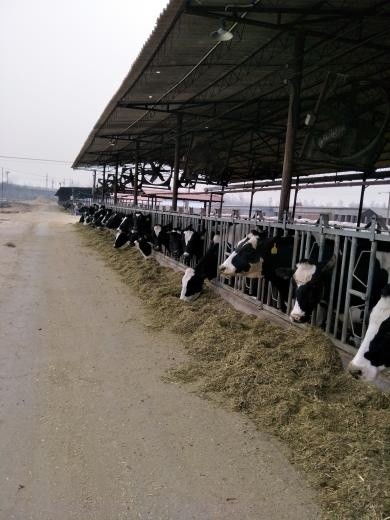 筑牢农产品安全基石 解读四项生产质量控制新规