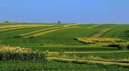 守好“米袋子”与“菜篮子” 粮食生产功能区和重要农产品生产保护区迎来定向扶持新机遇