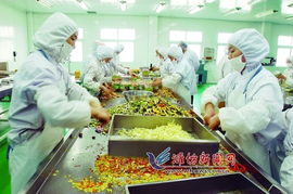 青潍对接 农业合作引领农产品生产新飞跃