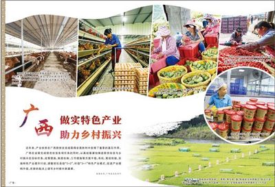 广西 做实特色产业，激发农产品生产活力，助推乡村振兴