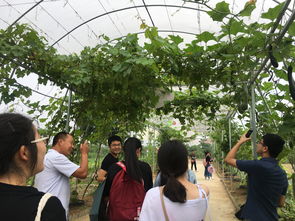 深化专业认知，筑牢安全基石——记四年制高职本科食品质量与安全专业农产品安全生产认知实习