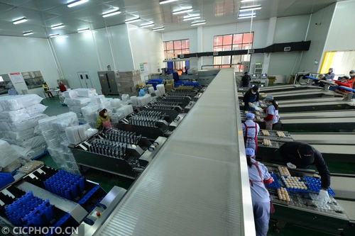 太仓农产品生产稳定，市场供应有保障