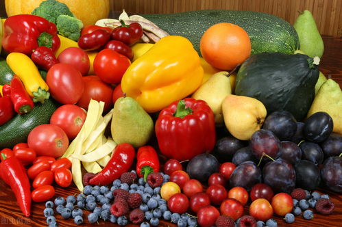 农产品质量安全问题的根源探析