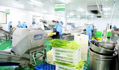 农产品的生产 从田间到餐桌的绿色旅程